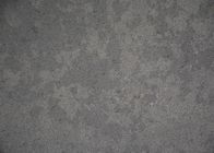 Hoog - dichtheid Grey Quartz Countertops, de Anti Langzaam verdwenen Kunstmatige Plakken van de Kwartssteen