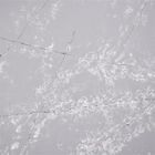 Wit Sneeuwvlokpatroon Grey Calacatta Quartz Stone 3000*1500MM