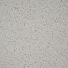 3000*4000*20MM de Lichte Grey Glass Wall Panel Quartz Muur van de Steenvloer