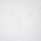 2.2g/Cm2 witte het Kwartssteen van Carrara met Binnenlandse Muurcomités
