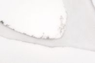 De witte Kunstmatige Calacatta-Plak NSF van de Kwartssteen Gediplomeerd voor Benchtop