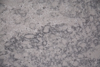 De concrete Kunstmatige Plakken van de Kwartssteen met Leer beëindigen AB8102