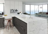 Poolse Witte 20MM Carrara Kwartssteen met Keukencountertops