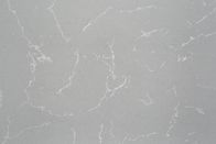 Het Blad Gemakkelijke Schoon van Grey Artificial Cararra Quartz Stone van de bank Hoogste Decoratie