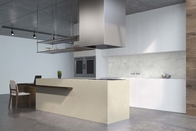 Gemengde Beige Engineering Quartz Granite Look voor appartement- en hotelprojecten Countertop