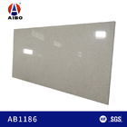 Zilveren Grey Glass Surface 2.2g/cm2 18MM voor de Bovenkant van de Kwartsijdelheid